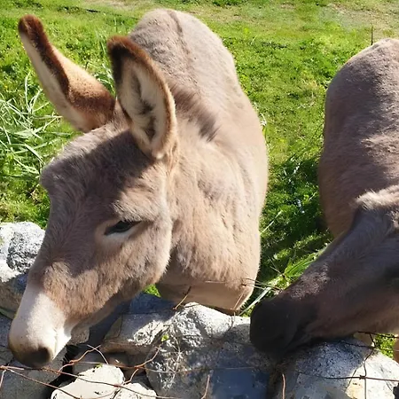 Pasiga- Jacuzi Privata Vicino Olbia Сasa de vacaciones Telti