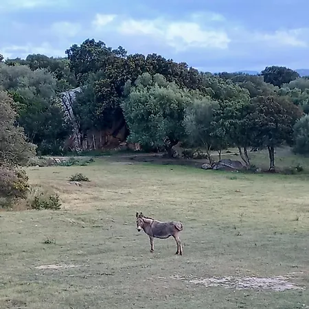 Prázdninový dům Pasiga- Jacuzi Privata Vicino Olbia *